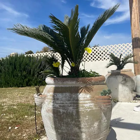 Calypso